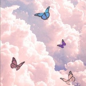 Meet your Posher, Hayley